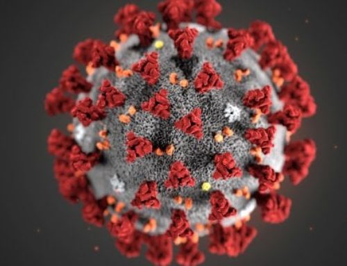 CORONAVIRUS ISTRUZIONI PER LE AZIENDE